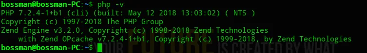 Terminal output of php -v showing the installed version
