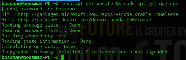 Terminal output of apt-get update on Deepin
