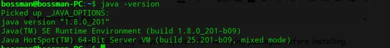 Terminal output of java -version showing Oracle JDK 8